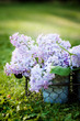 Foto: Lilac Lilac