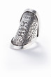 Anello scudo 2