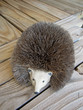 headgehog from wood