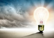 Light bulb and nature