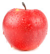 apple on a white background