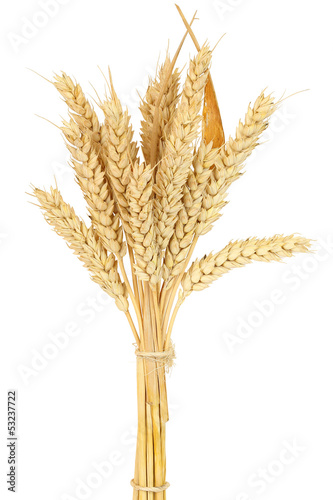 Photo: wheat bundle wheat bundle