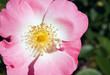 canvas print picture - SONY DSC