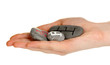Fortune telling  with symbols on stone in hand isolated on