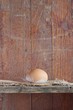 Egg