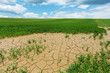 Landschaft