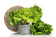 Foto: Useful herbs isolated on white Useful herbs isolated on white