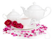 Rose tea isolated on white