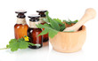 Foto: Blooming Celandine with medicine bottles isolated on white Blooming Celandine with medicine bottles isolated on white