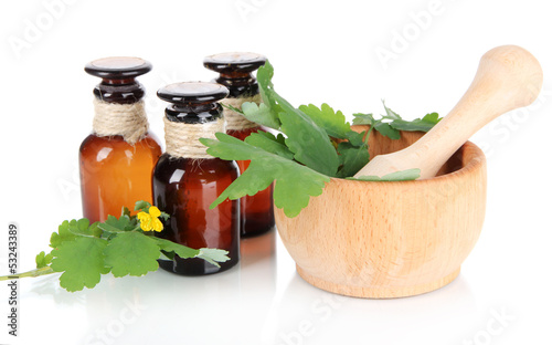 Photo: Blooming Celandine with medicine bottles isolated on white Blooming Celandine with medicine bottles isolated on white