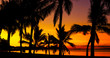 Palms silhouettes on a tropical beach at sunset