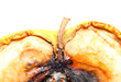 Rotten apple halves isolated. Food waste.