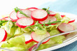 Fresh vegetable salad