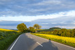 Photo: street with rape field under blue sky street with rape field under blue sky