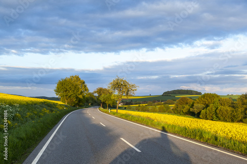 Photo: street with rape field under blue sky street with rape field under blue sky
