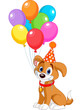 Birthday Puppy