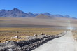 The Chile/Bolivian borded
