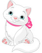 Cute fat cat
