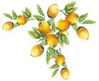 Lemons Pattern