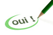 oui vert dessiné au crayon