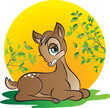 young deer