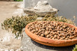 Argan fruits in a Women Cooperative in Essaouira