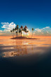 Tropical Island