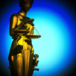 Themis in spotlight  - concept of justice