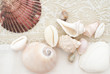 weiße Muscheln auf Seidentuch