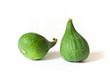 figues vertes
