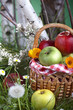 Healthy Organic Apples in the Basket.
