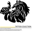 an horse on white background