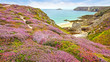 Photo: Panoramic view over Cap Frehel, Brittany, France Panoramic view over Cap Frehel, Brittany, France