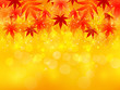 もみじ　背景　紅葉　秋
