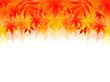 もみじ　背景　秋　紅葉