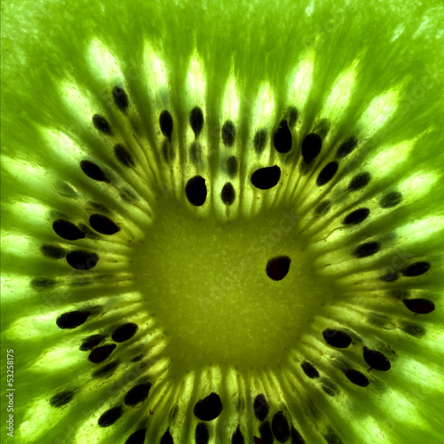 Photo: Kiwi Kiwi