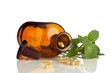 Alternative Medizin, Kräuter und Kapseln