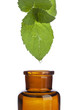 Alternative Medizin, Kräuteressenz