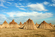 Stacks of cane in a conical shape.