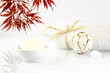 Wellness Seife 8