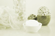 Wellness Seife 9