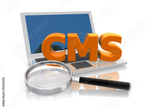 Illustration: CMS Laptop with magnifier glass CMS Laptop with magnifier glass