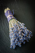 Bunch of dried lavender