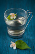 Photo: Herbal tea with jasmine flowers Herbal tea with jasmine flowers