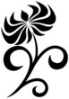 Black flower.