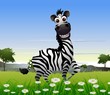 cute zebra cartoon with nature background