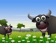Vetor: buffalo cartoon with nature background buffalo cartoon with nature background