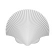 Scallop Shell. Isolated On White. Vector Illustration