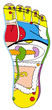 REFLEXOLOGIE