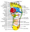 REFLEXOLOGIE